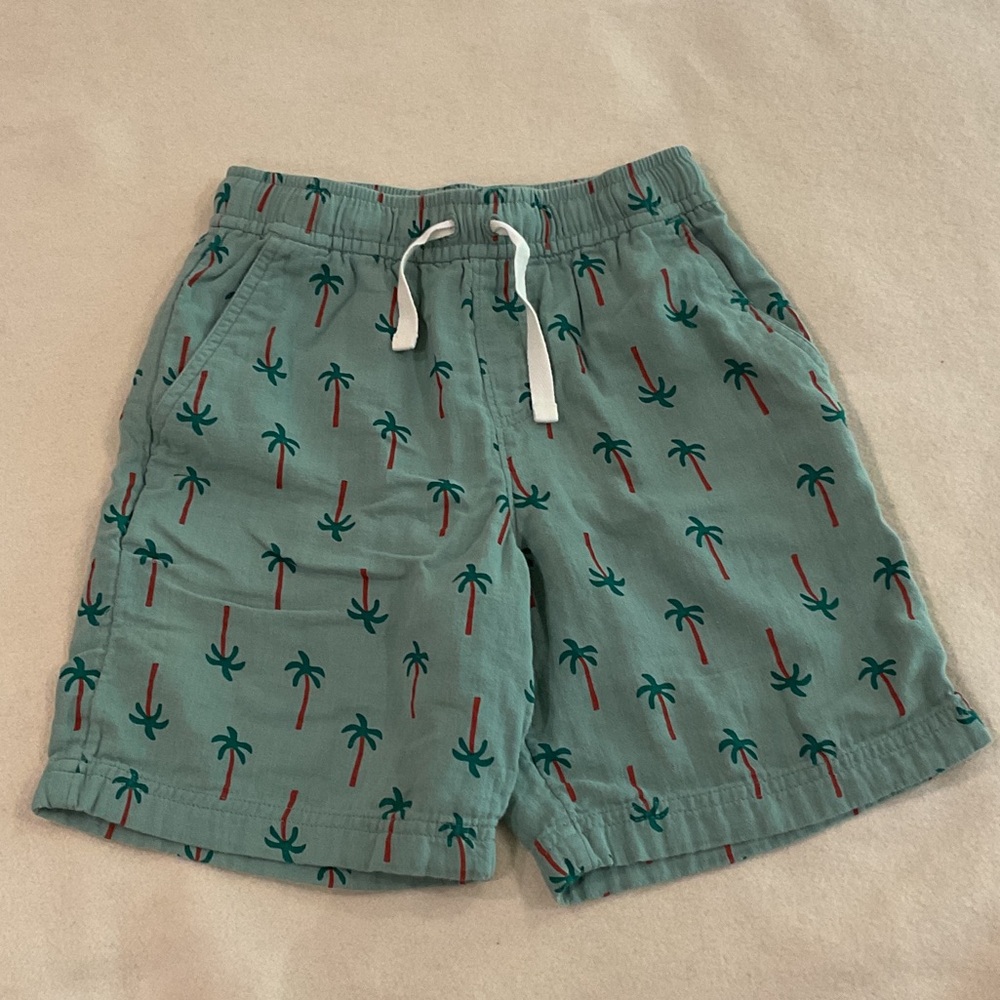 Like New Hanna Short Size 8